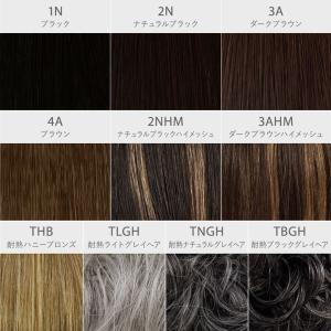 ヘアピース ちょびっと白髪隠しウィッグ 長さが...の詳細画像4