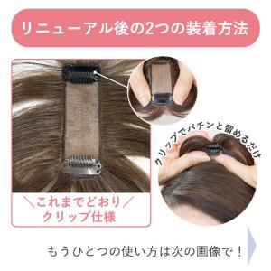 ヘアピース ちょびっと白髪隠しウィッグ 長さが...の詳細画像2