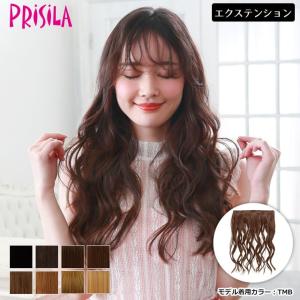 ウィッグ エクステンション クリップで付けられる簡単エクステ TX-27