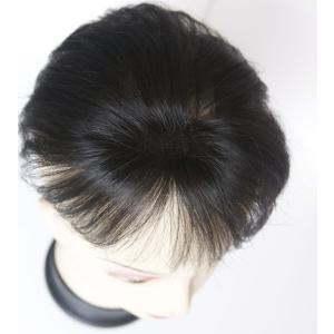 人毛ヘアピース TP100の詳細画像2
