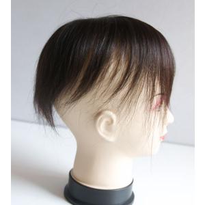 人毛ヘアピース TP100の詳細画像4