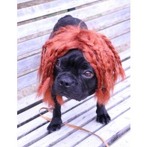 ドレッド カツラ その他犬の服 の商品一覧 犬服 アクセサリー 犬用品 ペット用品 生き物 通販 Yahoo ショッピング