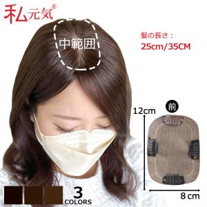 部分ウィッグ 返品交換OK 人毛 艶髪 白髪かくし つけ毛 トップカバー 自然 ヘアピース 頭頂部 薄毛対策 BAJZ812-25