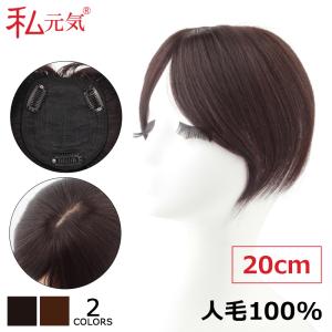 前髪ウィッグ 部分ウィッグ 頭頂部 人毛 自然 レディース 私元気 BAX911-20