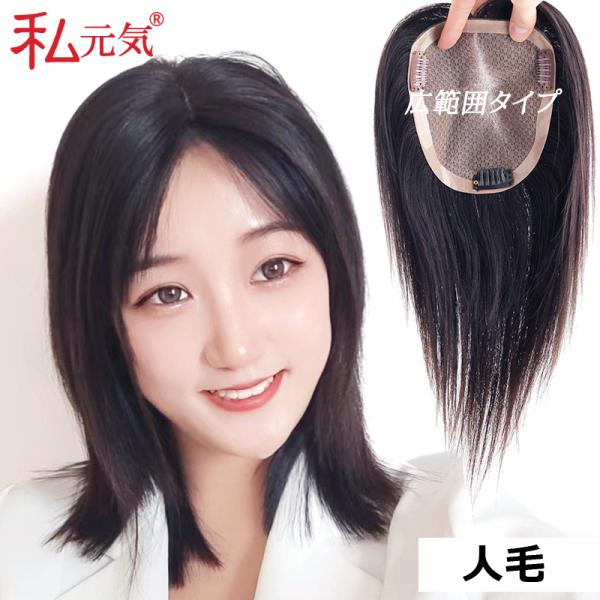 部分ウィッグ 返品交換OK 人毛 広範囲カバー 総手植え 25cm 人毛 ウィッグ かつら ポイント...