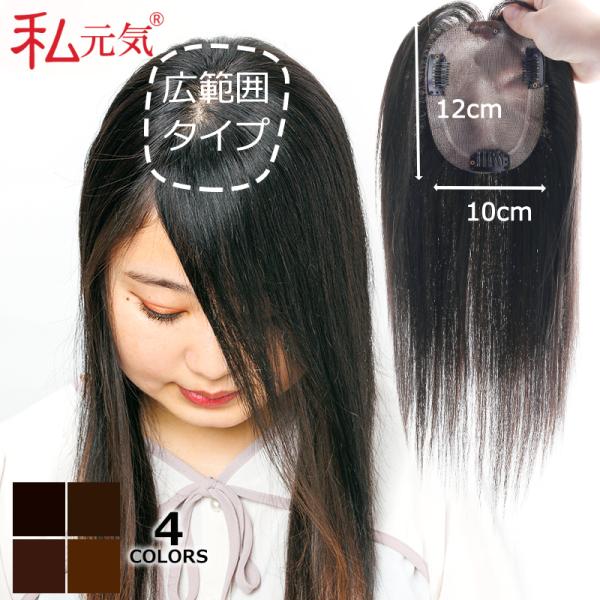 部分ウィッグ 全国カット 返品交換OK 大面積 10×12cm 自然 通気性 分け目自由 人毛 総手...