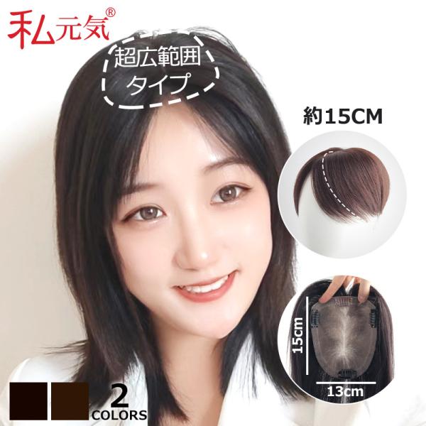 部分ウィッグ 全国カット 返品交換OK 大面積 13×15cm 自然 通気性 分け目自由 人毛 総手...
