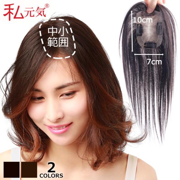 部分ウィッグ 全国カット 返品交換OK 中小面積 7×10cm 自然 通気性 分け目自由 人毛 総手...