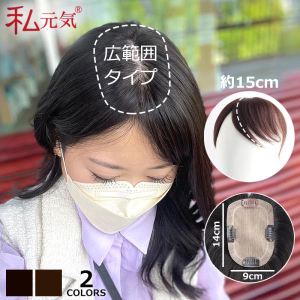 部分ウィッグ 全国カット 返品交換OK 大面積 9×14cm 自然 通気性 分け目自由 人毛 総手植...