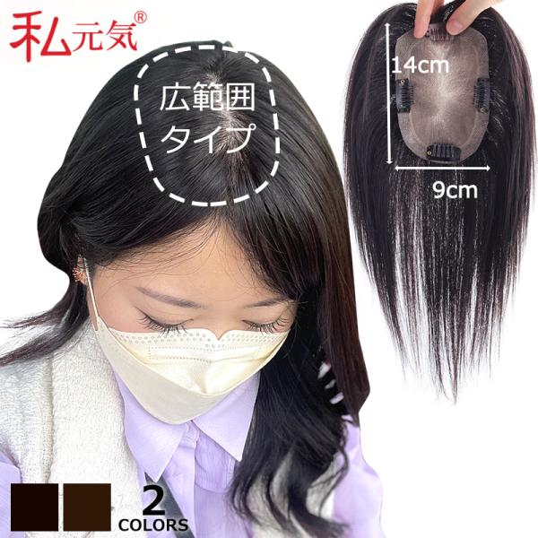 部分ウィッグ 全国カット 返品交換OK 大面積 9×14cm 自然 通気性 分け目自由 人毛 総手植...
