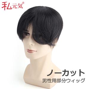 メンズ用 人毛 総手植え トップカバー 部分ウィ...の商品画像