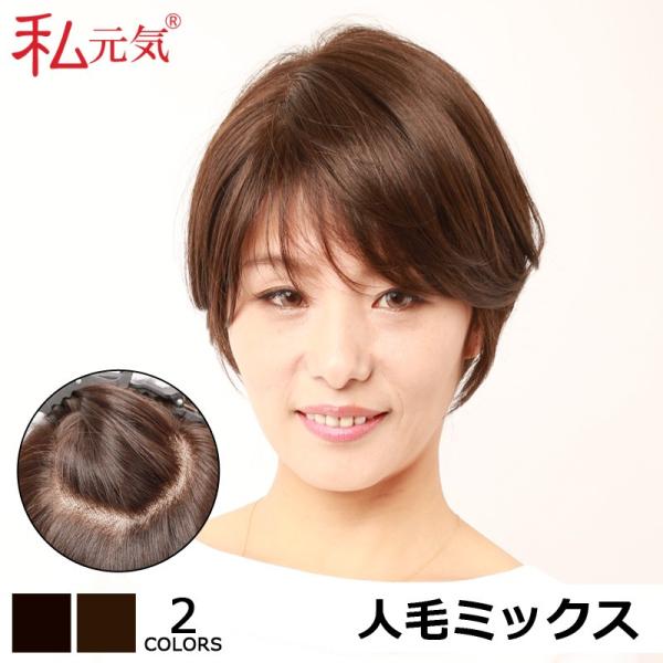 フルウィッグ 返品交換OK 人毛 ウィッグ ショート 医療用ウィッグ 自然 爽やか すっきり 上品 ...