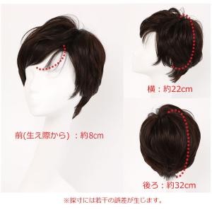 人毛ミックス フルウイッグ 全国カット 返品O...の詳細画像3