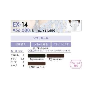 レオンカEX-14の詳細画像3