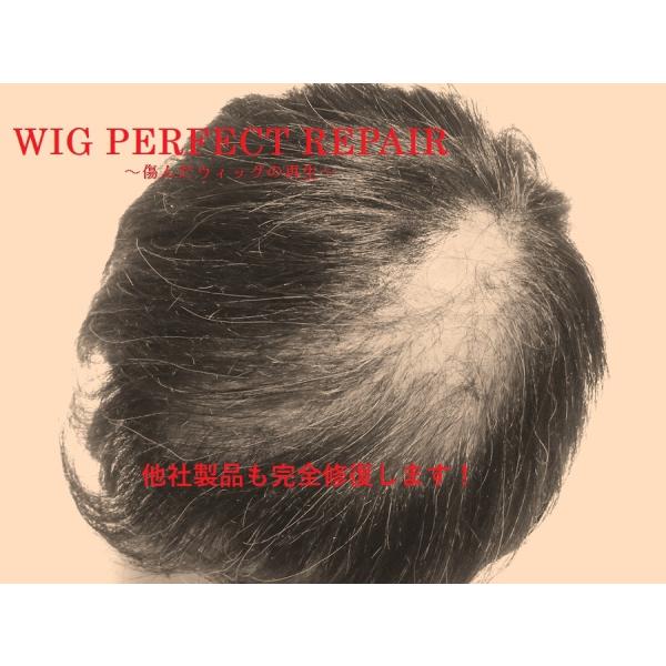 WIG PERFECT RIPAIR   ウィッグ完全修復 (全頭ウイッグ)