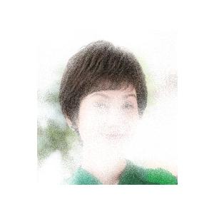 フォンテーヌDE12の商品画像