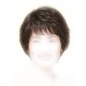 フォンテーヌ ビィラフラ アンダーキャップ2枚付 医療用ウイッグ F02