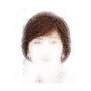 フォンテーヌ医療用ウィッグF04 : スマートビューティーショップ