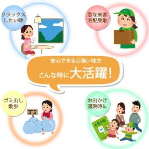 キャップ 髪付き帽子 毛付き帽子 ウィッグ付き...の詳細画像3
