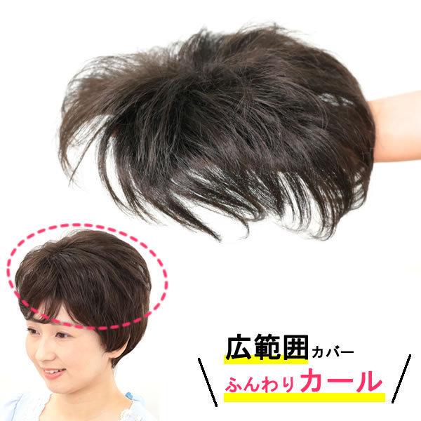 部分 ウィッグ ミセス 自然 薄毛 脱毛症 白髪隠し 増毛 分け目 つむじ ヘアピース 女性用 かつ...