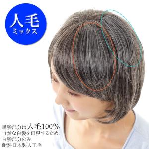 ウィッグ ヘアピース 人毛 円形脱毛症 部分ウ...の詳細画像1