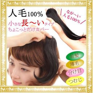 ウィッグ　ヘアピース  人毛100％　円形脱毛症　部分ウィッグ　かつら　送料無料　メッシュ　脱毛症　kz3