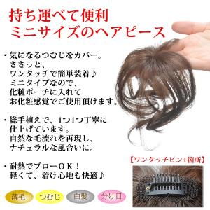 ウィッグ ヘアピース 耐熱 ミセス 部分ウィッ...の詳細画像1