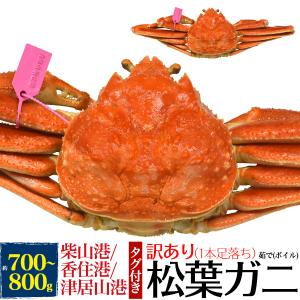 訳あり 釜茹で 松葉ガニ  1杯 (700〜800g)  兵庫県ブランド産地証明タグ付き ボイル 松葉蟹 松葉かに カニ 蟹 身入り  産地直送 冷蔵クール便配送