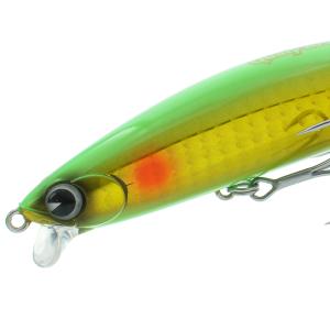 Megabass（メガバス） 2026福袋 SALT SET ソルト ルアー セット : WILD