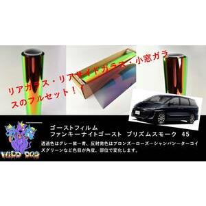 BRAINTEC ゴーストフィルム カット済み ファンキーナイトゴーストPR45 
