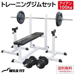 トレーニングジムセット アイアン100kg / ワイルドフィット 筋トレ ベンチプレス セット トレーニングマシン 自宅 送料無料｜wildfit