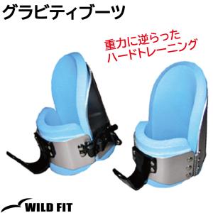 ぶらさかり健康器具、逆さぶら下がり健康器、 逆さ吊りでの体幹や腹筋