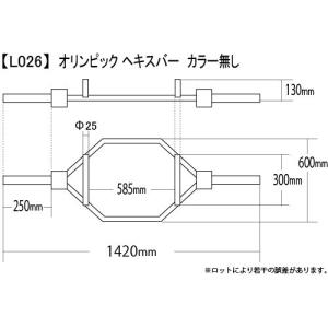 ワイルドフィット オリンピック ヘキスバー カ...の詳細画像3