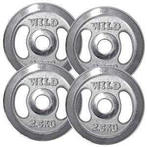 WILD FIT（ワイルドフィット） New 黒ラバー プレート 10kg (2枚