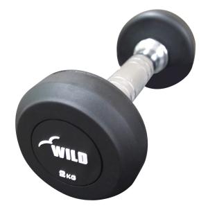 ワイルドフィット ダンベル 20Kg ② ※1個です Amazon | [ WILD FIT ワイルドフィット ] 固定式クローム