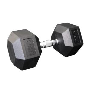 WILD ダンベル 14kg WILD FIT（ワイルドフィット） 固定式 ダンベル 14kg WF / ラバー ジム