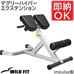 WILD FIT（ワイルドフィット） アジャスタブルアブドミナルベンチ / 筋