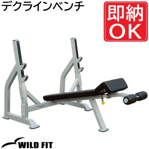 WILD FIT ワイルドフィト ラットマシン / impulse ラットプル