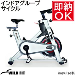ALINCO（アルインコ） フィットネスバイク アドバンストバイク7014