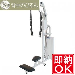 ケーブルマシン WILDFIT　Impulse　直接引き取り限定 WILD FIT（ワイルドフィット） デュアルアジャスタブルプーリー