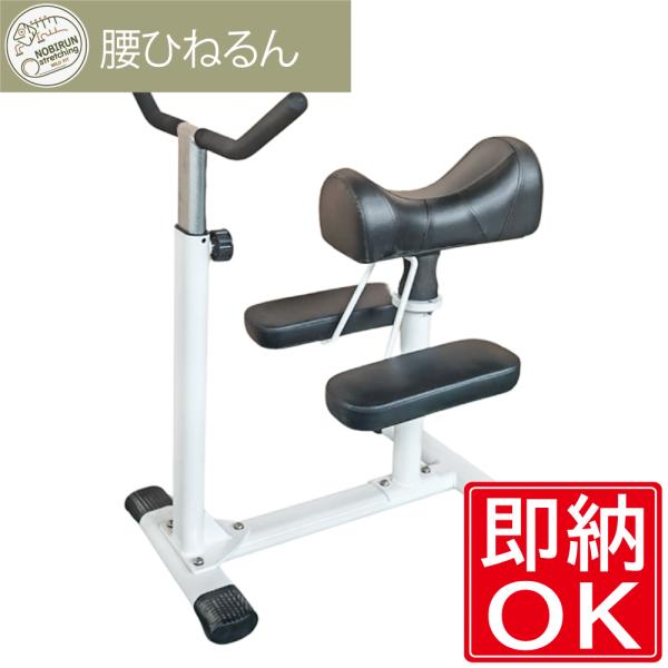 搬入設置組立込み 腰ひねるん (黒) ローテーション ツイスター / ロデオ 運動器具 ストレッチ ...