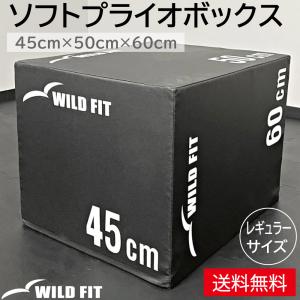 WILD FIT（ワイルドフィット） ソフトプライオボックス ラージ / 3in1
