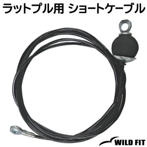 WILD FIT（ワイルドフィット） トレーニングチェーン Φ50mm用 (10kg×2