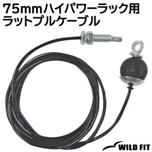 75mmハイパワーラック用 ラットプル 300cm《返品・交換不可》 / WILD FIT ワイルドフィット｜wildfit