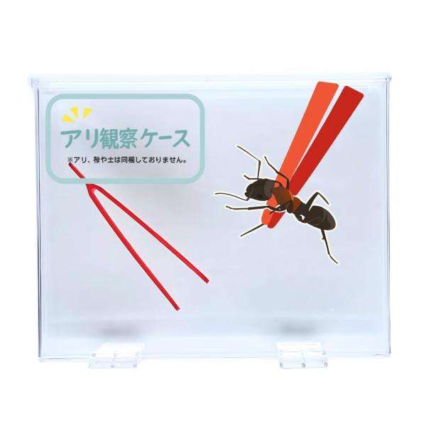 アリ観察ケース 飼育観察 自由研究 アリの巣を立体的に見てみよう