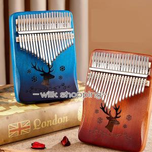 カリンバ ケース 持ち運び 17鍵対応 防水 衝撃収納バッグ コンパクト