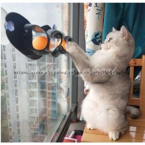 猫 おもちゃ ボール ストレス解消 運動不足対策 窓 壁に取り付ける 吸盤タイプ｜wilkshopping