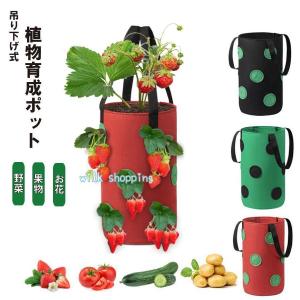 栽培ポット 吊下げ 苗 栽培 菜園 プランター 屋内 植物 観葉植物  野菜 育てる プレゼント イチゴ