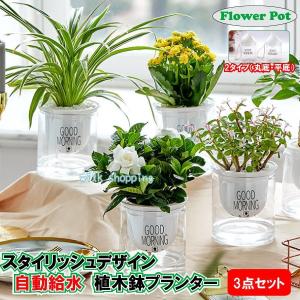 Disney（ディズニー） フラワーポット ミッキーポット （ ガーデン