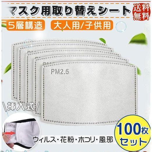 マスク用取り替えシート 100枚 5層構造 花粉対策マスク 挿入式 子供用 活性炭入不織布 フィルタ...